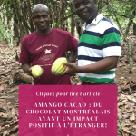 Amango Cacao chocolat éthique fait à Montréal